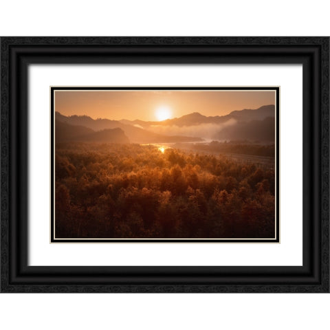 Red forest Black Ornate Wood Framed Art Print with Double Matting by Hao, Damon