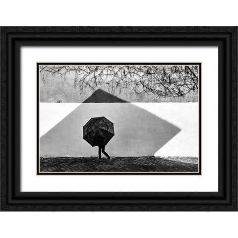 Shadow Geometry Black Ornate Wood Framed Art Print with Double Matting by Pirvulescu, Panfil