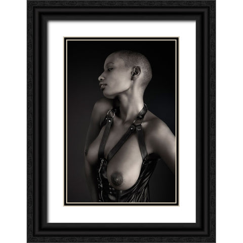 Shasta Topless Black Ornate Wood Framed Art Print with Double Matting by Slotboom, Jan