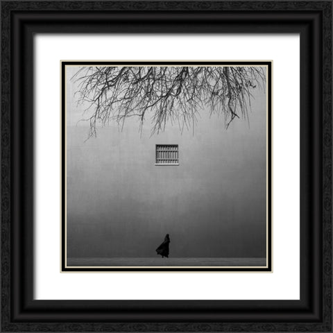 Waiting for freedom Black Ornate Wood Framed Art Print with Double Matting by Alizolghadri93