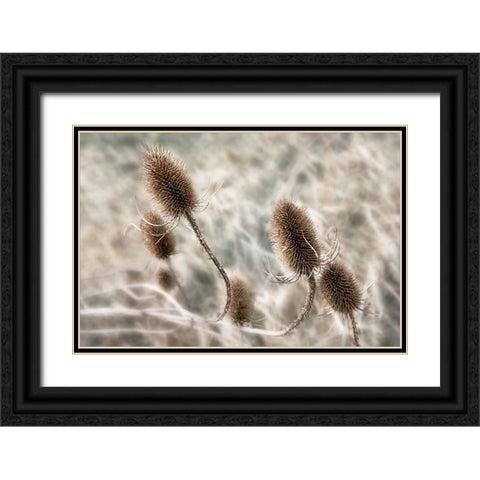 Do not touch me... Black Ornate Wood Framed Art Print with Double Matting by Claes, Gilbert