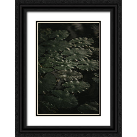 Botanical Series - Water Lily Leaves 1/2 Black Ornate Wood Framed Art Print with Double Matting by Elijas, Eva