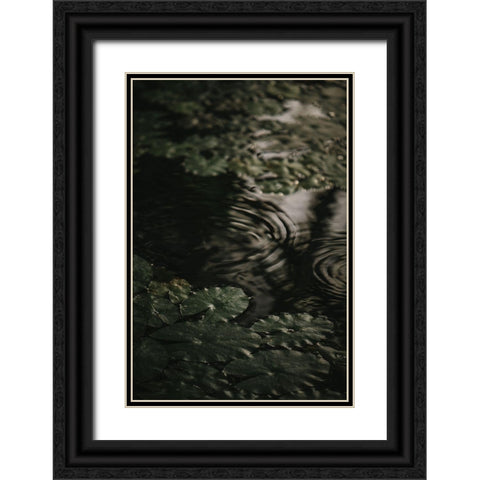 Botanical Series - Water Lily Leaves 2/2 Black Ornate Wood Framed Art Print with Double Matting by Elijas, Eva