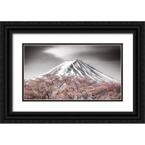 Sakura Fuji Black Ornate Wood Framed Art Print with Double Matting by Mitamura, Takeshi