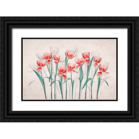 Joy of Spring Black Ornate Wood Framed Art Print with Double Matting by Jacobs, Lydia