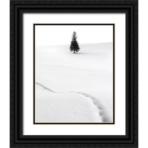 Untitled Black Ornate Wood Framed Art Print with Double Matting by CVV