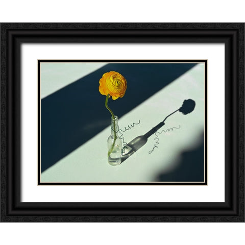 Light A Shadow Black Ornate Wood Framed Art Print with Double Matting by Basso, Donatella