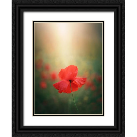 Light And Colors 3 7R41568 Black Ornate Wood Framed Art Print with Double Matting by joanaduenas