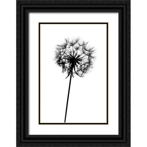 Contrasts Black Ornate Wood Framed Art Print with Double Matting by Malysheva, Tatiana