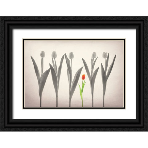 Tulip Forest Black Ornate Wood Framed Art Print with Double Matting by Jacobs, Lydia