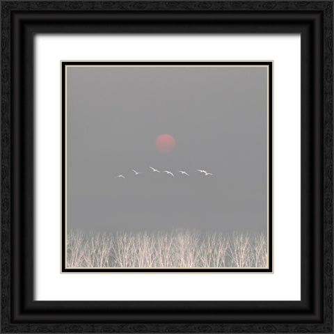 There are gods in the sky Black Ornate Wood Framed Art Print with Double Matting by Fei, Hsiao-Yang