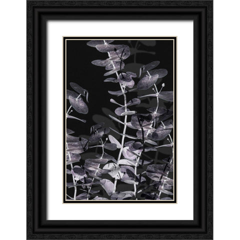 Eucalyptus_Negative_002 Black Ornate Wood Framed Art Print with Double Matting by 1x Studio III
