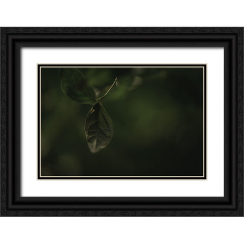 Botanical Series - Leaves 1/5 Black Ornate Wood Framed Art Print with Double Matting by Elijas, Eva