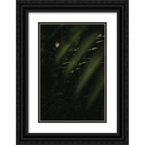 Botanical Series - Leaves 2/5 Black Ornate Wood Framed Art Print with Double Matting by Elijas, Eva