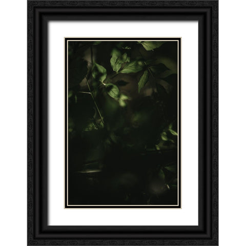 Botanical Series - Leaves 3/5 Black Ornate Wood Framed Art Print with Double Matting by Elijas, Eva