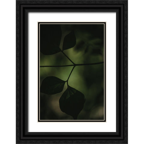 Botanical Series - Leaves 4/5 Black Ornate Wood Framed Art Print with Double Matting by Elijas, Eva