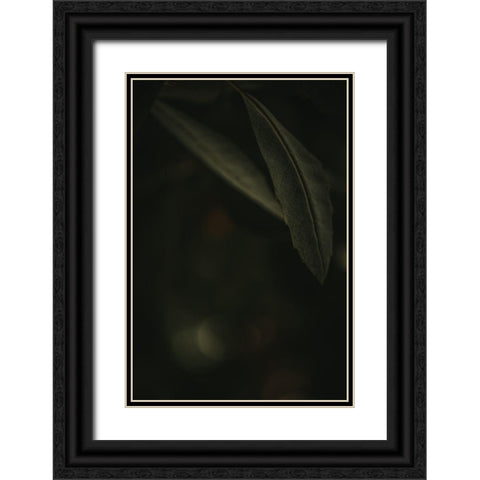 Botanical Series - Leaves 5/5 Black Ornate Wood Framed Art Print with Double Matting by Elijas, Eva