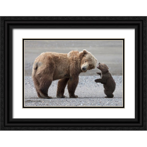 Momma Please Black Ornate Wood Framed Art Print with Double Matting by D Lester, Linda