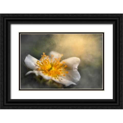 Dreaming Black Ornate Wood Framed Art Print with Double Matting by Kiral, Cicek