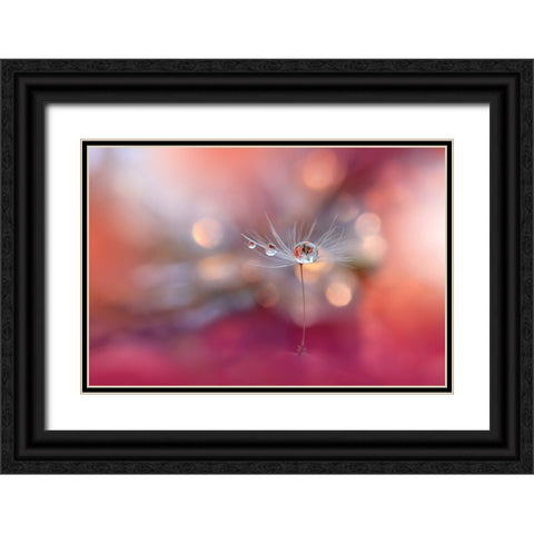 Colors Of Love.. Black Ornate Wood Framed Art Print with Double Matting by Nan, Juliana