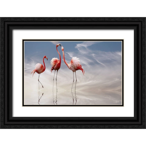 ... Black Ornate Wood Framed Art Print with Double Matting by Cseresnjes, Anna