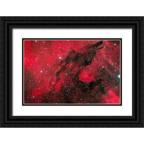 Hungry like the Wolf Black Ornate Wood Framed Art Print with Double Matting by Chander, Vikas