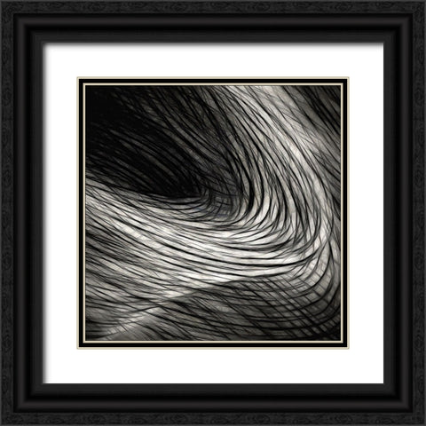 Dark madness Black Ornate Wood Framed Art Print with Double Matting by Claes, Gilbert