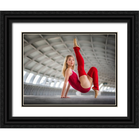 The sky the limit Black Ornate Wood Framed Art Print with Double Matting by Ng, Joseph