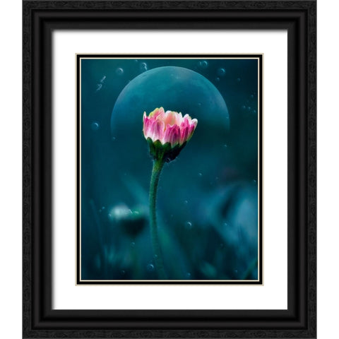 A flowers dream Black Ornate Wood Framed Art Print with Double Matting by Stefanel, Nicolae