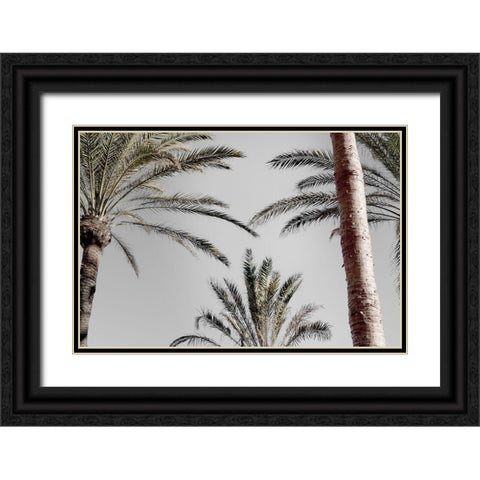 Palm_009 Black Ornate Wood Framed Art Print with Double Matting by 1x Studio III