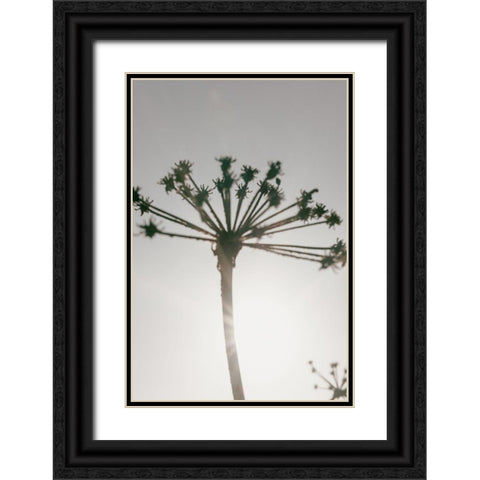 Beach flowers_002 Black Ornate Wood Framed Art Print with Double Matting by 1x Studio III