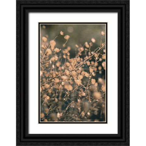 Beach flowers_003 Black Ornate Wood Framed Art Print with Double Matting by 1x Studio III