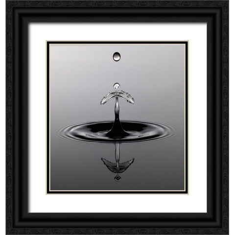 Water Art II Black Ornate Wood Framed Art Print with Double Matting by Schade, Peter