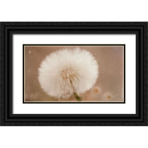 Softie Black Ornate Wood Framed Art Print with Double Matting by Stas, Marie-Anne