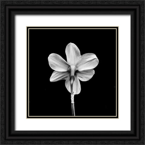One Black Ornate Wood Framed Art Print with Double Matting by Bland, Richard