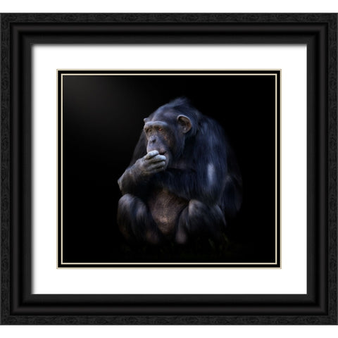 chimpanzee Black Ornate Wood Framed Art Print with Double Matting by Garcia, Helena