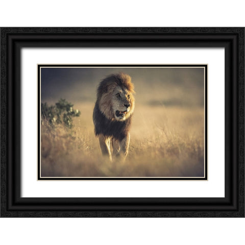 The King Black Ornate Wood Framed Art Print with Double Matting by Sobhi, Ahmed