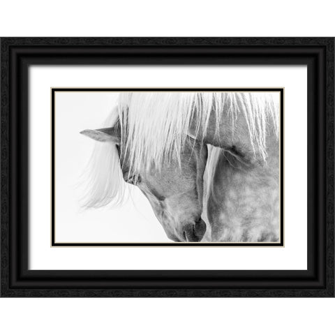 Halflinger Portrait Black Ornate Wood Framed Art Print with Double Matting by Kimberly