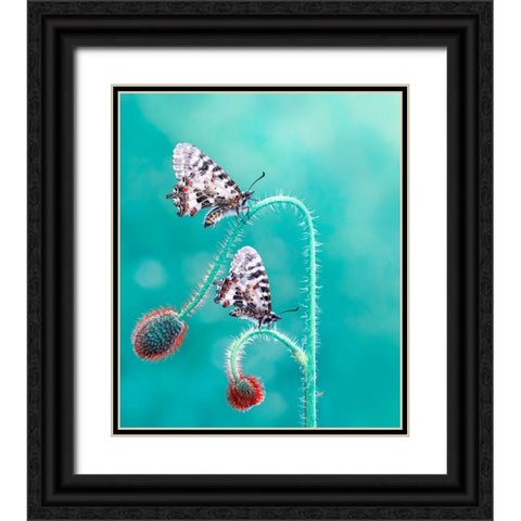 Friends Black Ornate Wood Framed Art Print with Double Matting by ozturk, Mustafa