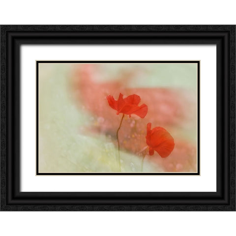 Poppy 2 Black Ornate Wood Framed Art Print with Double Matting by Stas, Marie-Anne