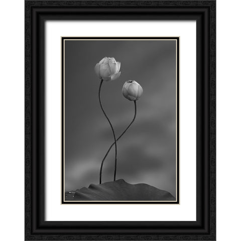 Lotus Black Ornate Wood Framed Art Print with Double Matting by Wei, Taiga