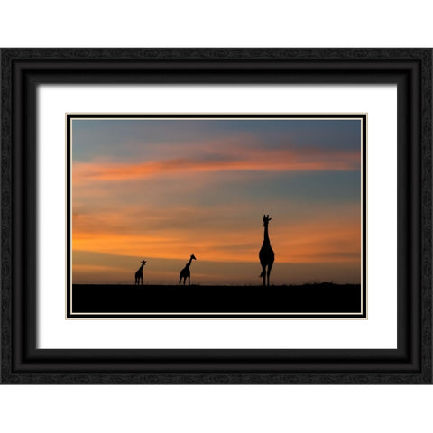 ddidcdsd ddldcdndids dydcdcd d ddcddbdudsd Black Ornate Wood Framed Art Print with Double Matting by Sobhi, Ahmed