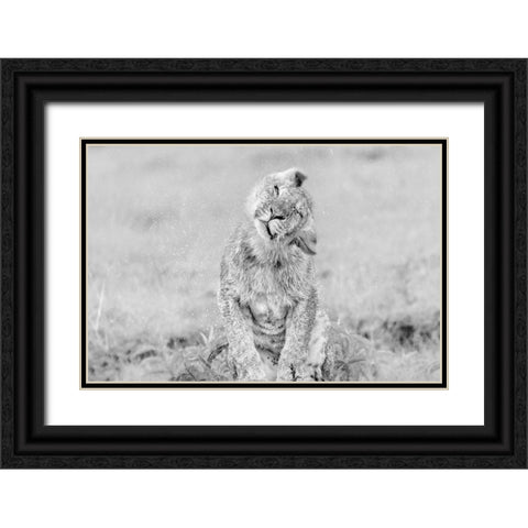 In the Rain Black Ornate Wood Framed Art Print with Double Matting by Zuo, Jun