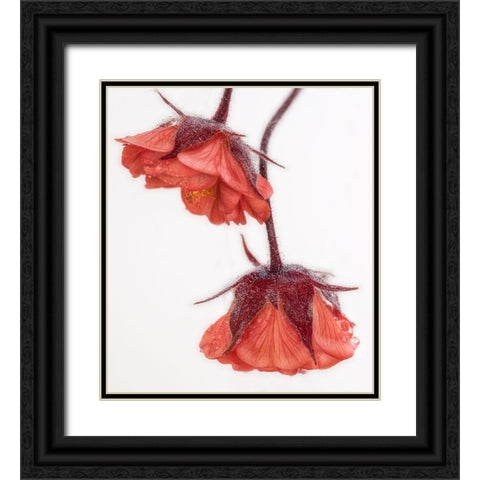 Red And Wet Black Ornate Wood Framed Art Print with Double Matting by Stas, Marie-anne