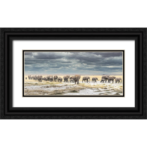 The March for Survival Black Ornate Wood Framed Art Print with Double Matting by C. Sink, Jeffrey