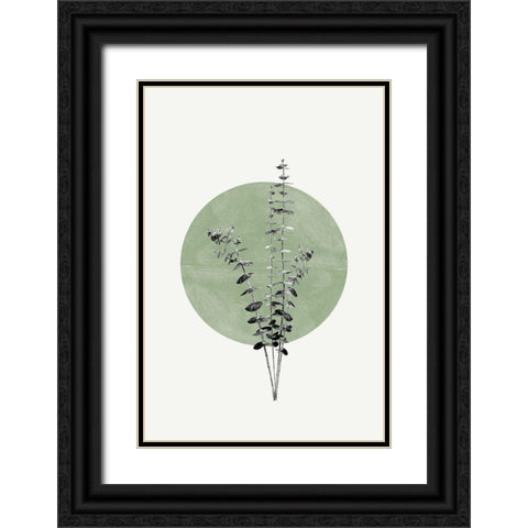 Eucalyptus and Green Moon Black Ornate Wood Framed Art Print with Double Matting by The Miuus Studio