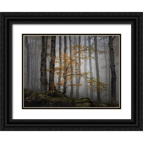 Bosque en la niebla Black Ornate Wood Framed Art Print with Double Matting by Ruiz Rivas, Ja