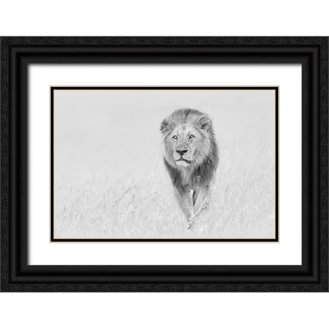 The King of The Prairie Black Ornate Wood Framed Art Print with Double Matting by Zuo, Jun