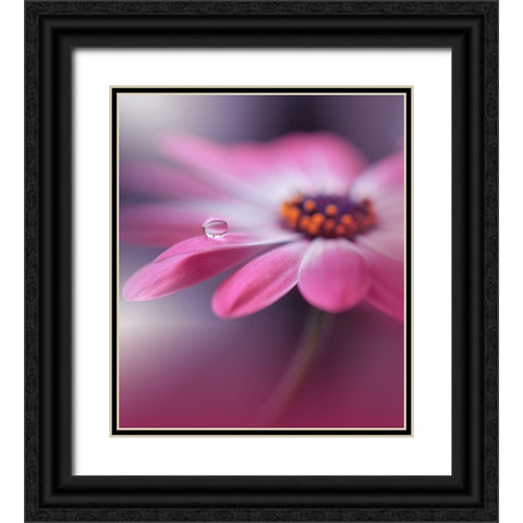 Echoes of Hope...III Black Ornate Wood Framed Art Print with Double Matting by Nan, Juliana