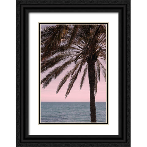 Palm_010 Black Ornate Wood Framed Art Print with Double Matting by 1x Studio III